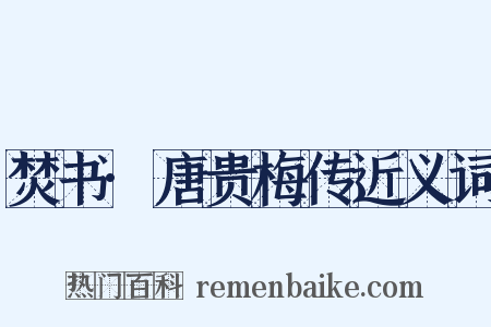 焚书·唐贵梅传近义词是什么意思的图片